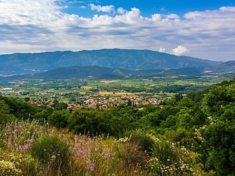 Αρχοντικό Σουλιώτη