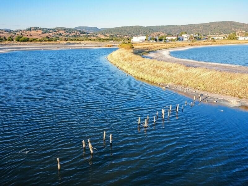 Hotel Kalloni Bay